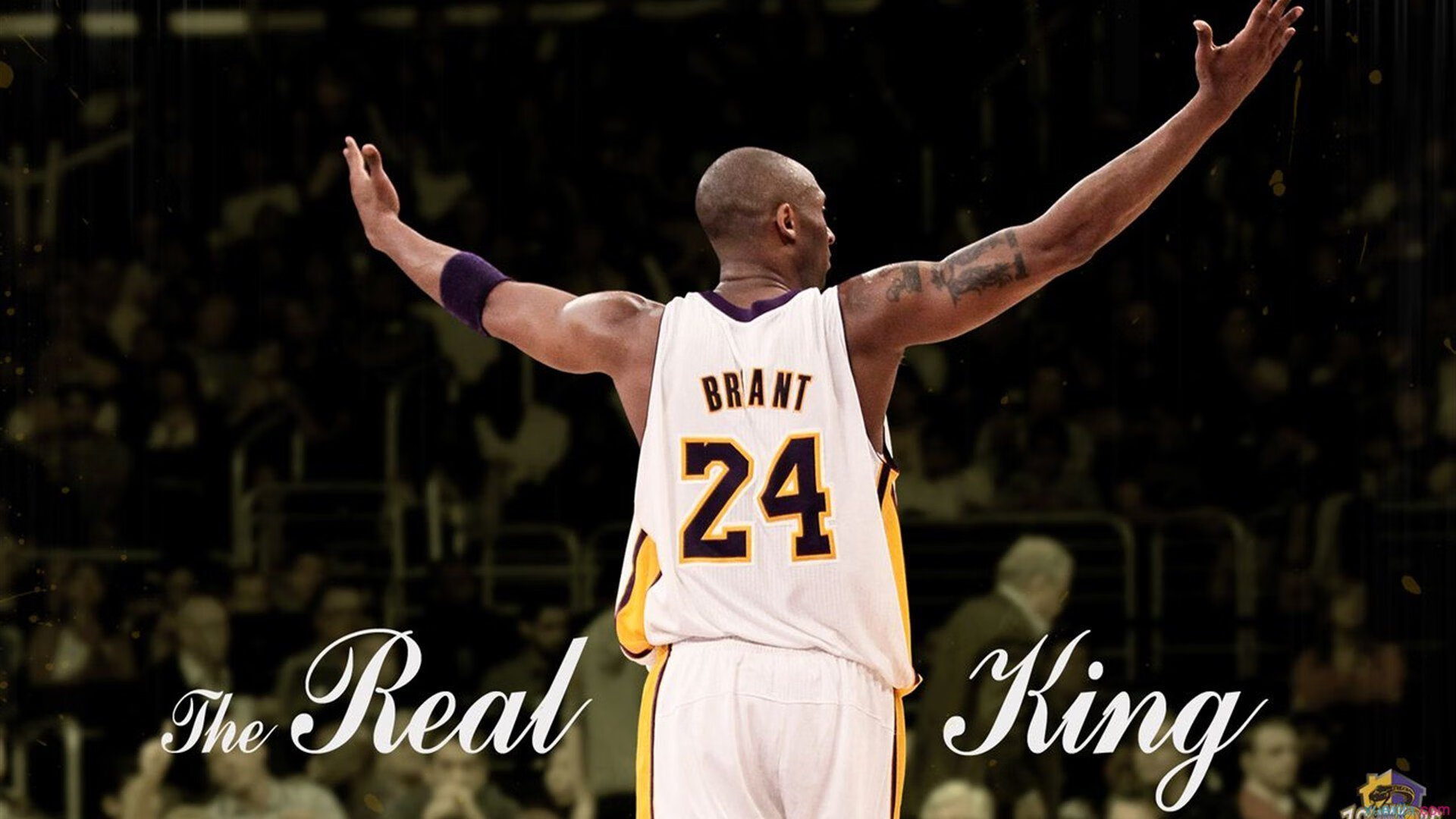 铁骑踏碎花城梦！世界杯舞台惊现史诗级爆冷，里昂三箭射落紫百合